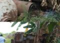 PT. Indoferro Diduga Ada Dibalik Hilangnya Besi Tua di Pekayon Sitaan Bareskrim Polri.