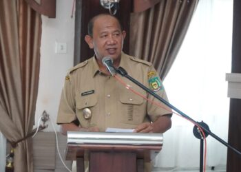 Plt Bupati Langkat Buka Sosialisasi Program Bunda Asuh & Keluarga Risikonya Stunting