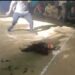 Terkesan Miliki Beking Terkuat, Sabung Ayam Di Sintang Tak Tersentuh Oleh Hukum. Diduga APH Sintang Tutup Mata!!