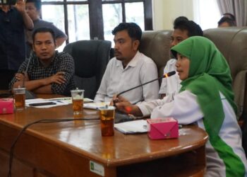 DPRD Kabupaten Langkat RDP dengan Aliansi Guru Honorer PPPK