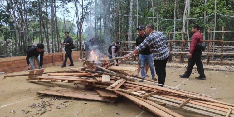 Polres Sintang Grebek Dua Lokasi Yang Menjadi Fasilitas Praktek Judi Sabung Ayam