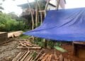 Sat Reskrim Polres Ketapang Ungkap Kasus Ilegal Logging Di Sandai 3 Orang Pelaku Di Amankan