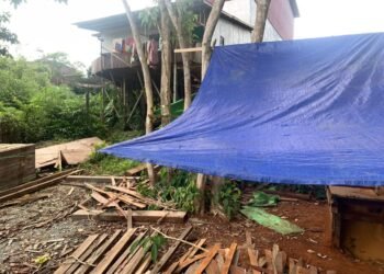Sat Reskrim Polres Ketapang Ungkap Kasus Ilegal Logging Di Sandai 3 Orang Pelaku Di Amankan