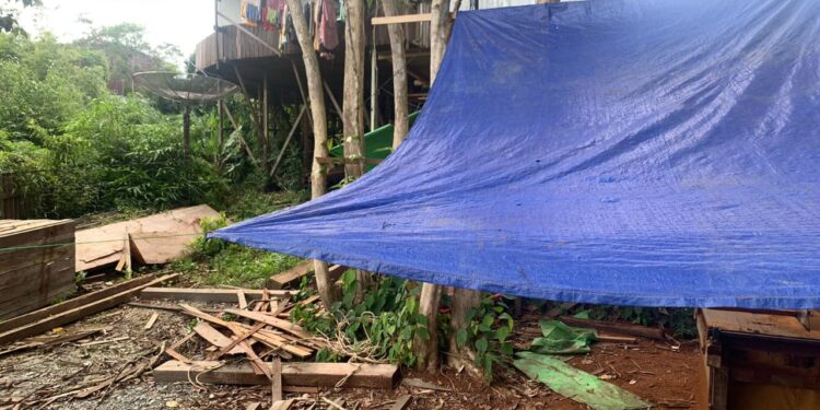 Sat Reskrim Polres Ketapang Ungkap Kasus Ilegal Logging Di Sandai 3 Orang Pelaku Di Amankan