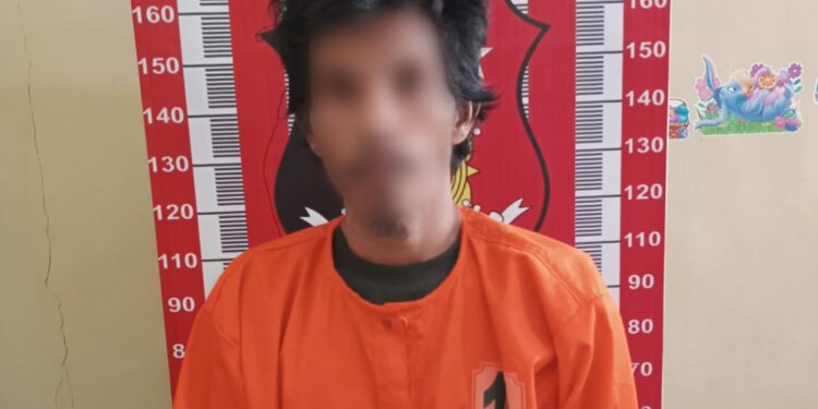 Biadab! Dua Pria di Tapteng Cabuli Anak Dibawah Umur Hingga Melahirkan