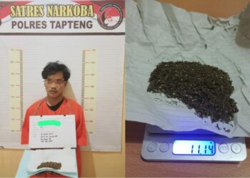 Nyambi Jual Ganja, Kuli Bangunan Diciduk Satnarkoba Polres Kab. Tapanuli Tengah.