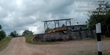 Londing Ram Diduga Penadah Buah Sawit Curian Dari Perkebunan PT.PMS Silat Hilir Kapuas