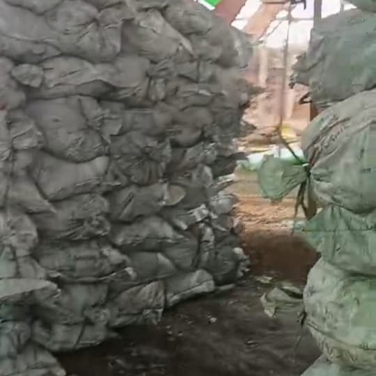 *Diduga Ada permainan oknum APH Tambang Mas Ilegal Yang Dimiliki oleh pak Gusti dan Rekan-Rekannya Masih Beroperasi Dengan Aman Di Lokasi Rengas 7, Kecamatan Tumbang Titi*