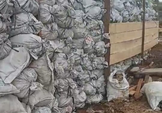 *Diduga Ada permainan oknum APH Tambang Mas Ilegal Yang Dimiliki oleh pak Gusti dan Rekan-Rekannya Masih Beroperasi Dengan Aman Di Lokasi Rengas 7, Kecamatan Tumbang Titi*