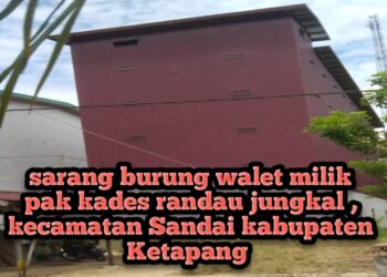 *Warga Desa Randau Jungkal kecamatan Sandai kabupaten Ketapang Menyesalkan Tindakan Kades Terkait Sarang Burung Walet Tanpa IMB*