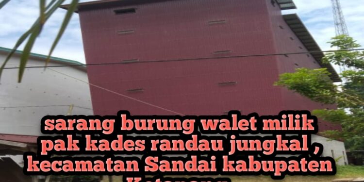 *Warga Desa Randau Jungkal kecamatan Sandai kabupaten Ketapang Menyesalkan Tindakan Kades Terkait Sarang Burung Walet Tanpa IMB*
