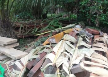 *Di temukan Tumpukan Kayu Ulin di Tepi Jalan SBK kilometer 34 jalan arah ke Kalteng Kabupaten Melawi