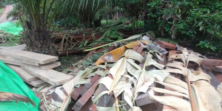 *Di temukan Tumpukan Kayu Ulin di Tepi Jalan SBK kilometer 34 jalan arah ke Kalteng Kabupaten Melawi