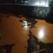 Diduga CPO dari PT. PHS Tumpah dan Mengotori Sungai Kapuas Dusun Nanga Gonis, Warga Minta Ganti Rugi.