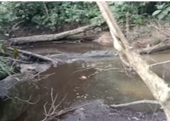 Diduga Limbah PKS PT. ASP Sanggau Cemari Sungai Kapuas Sanggau, Kapolres Sanggau Di Minta Secepatnya Mengusut Kasus Nya