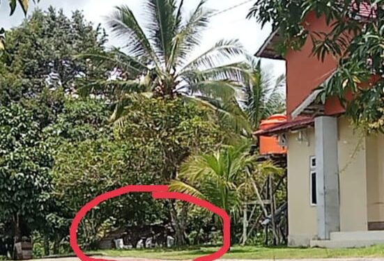 Gakum Diminta Usut Kepemilikan Ratusan Batang Kayu Ulin Ilegal Milik Kadis Pendidikan Melawi