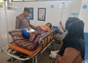 Hendak Mandi Di Sungai, Seorang IRT di Kecamatan Toba di Terkam Buaya