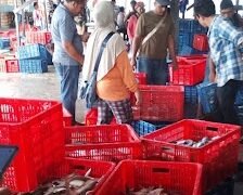 Kapal Bom Ikan Marak Bongkar di Tangkahan Sibolga.