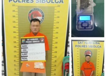 Miliki Ganja 1,43 gram, SIP Diamankan Satnarkoba Polresta Sibolga
