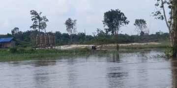 Tambang Emas PT. SPM Harus Bertanggung Jawab Terhadap Kerusakan Lingkungan Sungai Kapuas Di Desa Inggis