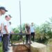 Normalisasi Sungai Parmaldoan Tapteng Usulan Prioritas Musrenbang Prov. Sumut.