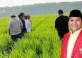 HARAPAN PETANI DAN PETERNAK UNTUK PELAKSANAAN PROGRAM MAKAN BERGIZI GRATIS TAHUN 2025