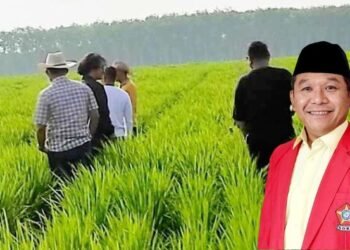 HARAPAN PETANI DAN PETERNAK UNTUK PELAKSANAAN PROGRAM MAKAN BERGIZI GRATIS TAHUN 2025