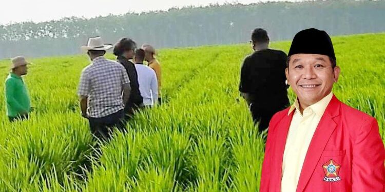 HARAPAN PETANI DAN PETERNAK UNTUK PELAKSANAAN PROGRAM MAKAN BERGIZI GRATIS TAHUN 2025