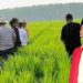 HARAPAN PETANI DAN PETERNAK UNTUK PELAKSANAAN PROGRAM MAKAN BERGIZI GRATIS TAHUN 2025