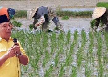 Strategi Pemerintah Untuk Meraih Surplus Beras,Apakah Dengan Program Food Estate,Corporate Farming Atau Rice Astate.