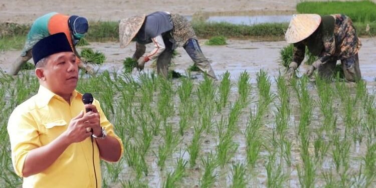Strategis Pemerintah Untuk Meraih Surplus Beras, Apakah Dengan Program Food Estate,Corporatf Farming Atau Rice Estate ?