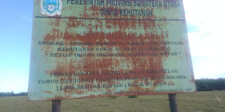 Dugaan Transaksi Besar Mencurigakan Bos JSI Jadi Sorotan Masyarakat, PPATK Diminta Selidiki Semua Terlibat