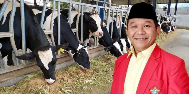 Benarkan Pemerintah Akan Mengimpor Indukan Sapi Perah Sebanyak 1,5 Juta Ekor ?