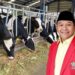Benarkan Pemerintah Akan Mengimpor Indukan Sapi Perah Sebanyak 1,5 Juta Ekor ?