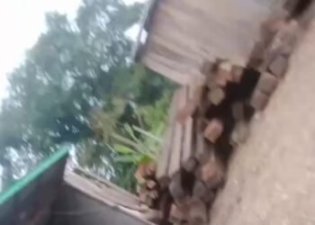 Lapor Pak Kapolri dan Pak Kapolda Kalbar Diminta Turunkan Tim Khusus, Ribuan Batang Kayu Tanpa Dokumen Meluncur Bebas Dari Kec.Sokan