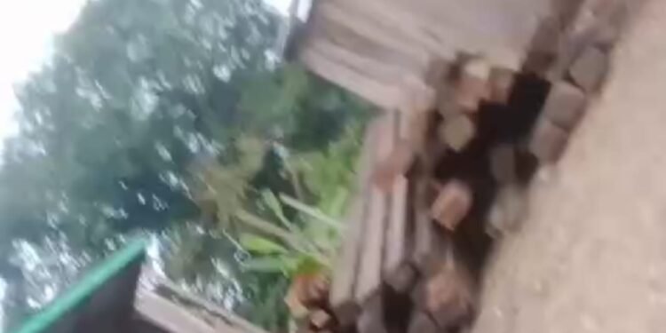 Lapor Pak Kapolri dan Pak Kapolda Kalbar Diminta Turunkan Tim Khusus, Ribuan Batang Kayu Tanpa Dokumen Meluncur Bebas Dari Kec.Sokan