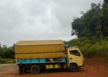 Peredaran Kayu Ulin Bebas Beraktivitas : Pangdam Dalam penindakan Karna Diduga ada Keterlibatan Oknum Anggota.kopi