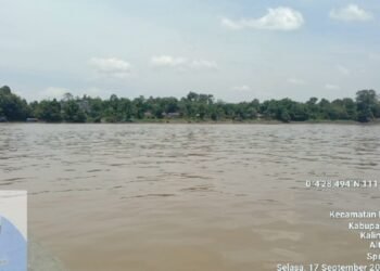 Tidak Benar Ada Aktivitas PETI di Desa Entabuk, Belitang Hilir, Sungai Kubu