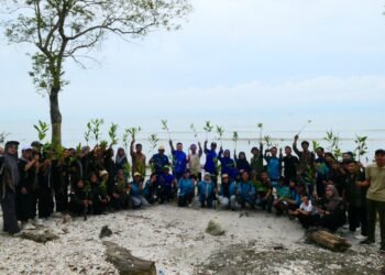 Cegah Abrasi, Pusat Kampus Hijau Universitas Medan Area Tanam 1.000 Bibit Mangrove di Pesisir Pantai Ragemuk