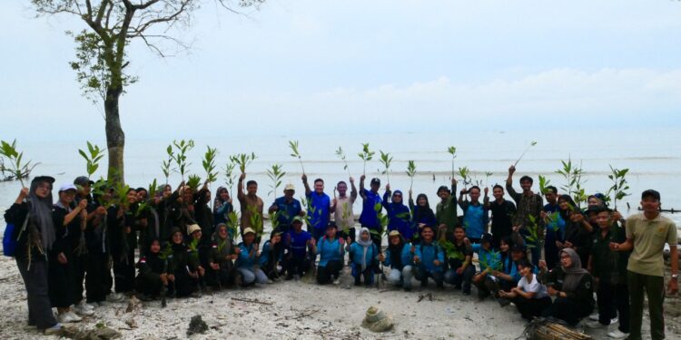 Cegah Abrasi, Pusat Kampus Hijau Universitas Medan Area Tanam 1.000 Bibit Mangrove di Pesisir Pantai Ragemuk