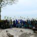 Cegah Abrasi, Pusat Kampus Hijau Universitas Medan Area Tanam 1.000 Bibit Mangrove di Pesisir Pantai Ragemuk