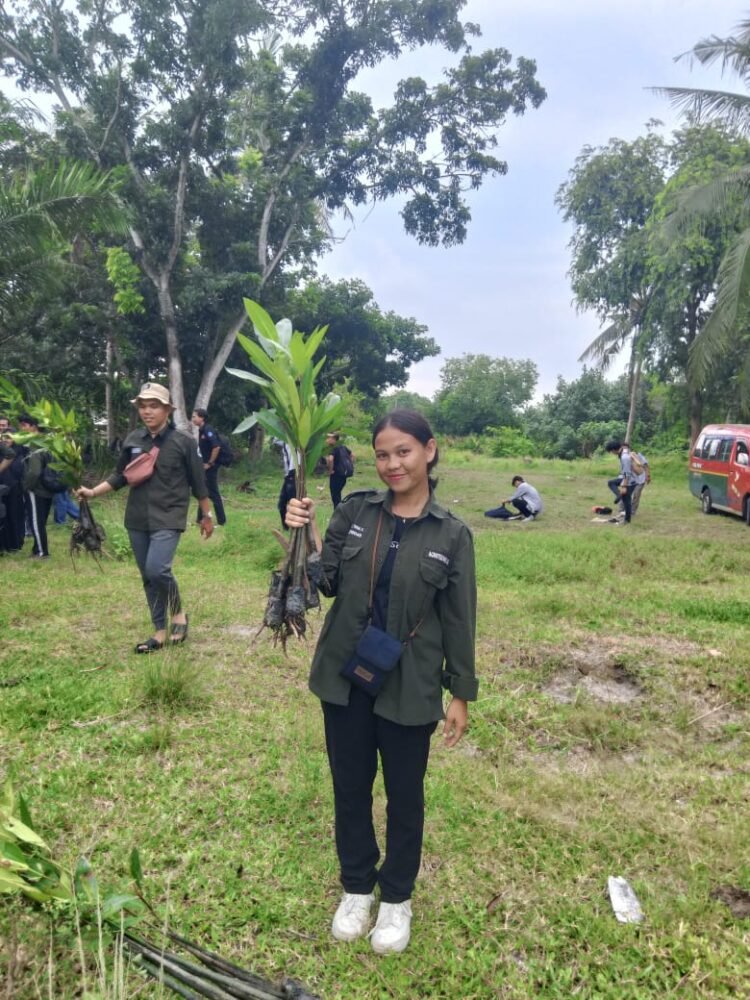 Cegah Abrasi, Pusat Kampus Hijau Universitas Medan Area Tanam 1.000 Bibit Mangrove di Pesisir Pantai Ragemuk