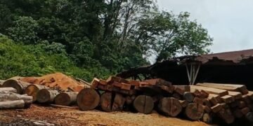 Kapolres Mandailing Natal di Minta Untuk Tidak Main Mata Terhadap Ilegal Logging