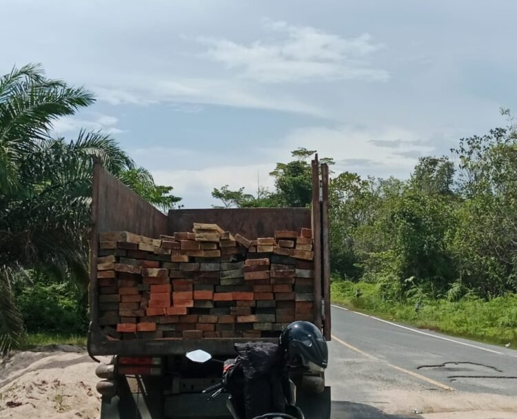 Kapolres Mandailing Natal di Minta Untuk Tidak Main Mata Terhadap Ilegal Logging