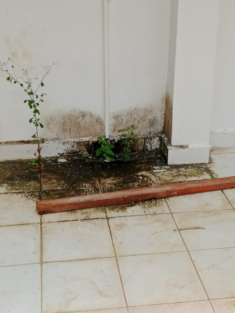 Anggaran Pemeliharaan Ludes, Kantor DPRD Mandailing Natal Bak Rumah Tak Berpenghuni