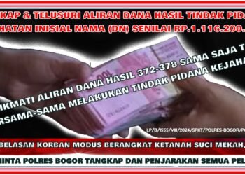 Penyidik Kepolisian Dalam Kasus Itu Seyogyanya Terapkan Hukum Penyertaan Secara Benar Guna Pengungkapan Kemana Aliran Dana Kejahatan Si (DN) Berikan atau Habiskan dan Siapa Pun Turut Menikmati Dana Hasil Kejahatan Itu Wajib Menuai Efek Jera Atau Sanksi Tahanan Badan