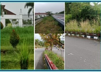 Habisi Anggaran Milyaran Rupiah Untuk Pemeliharaan Taman Perkantoran Pemkab Tapsel-Sumut, Dinilai Tidak Pro Rakyat