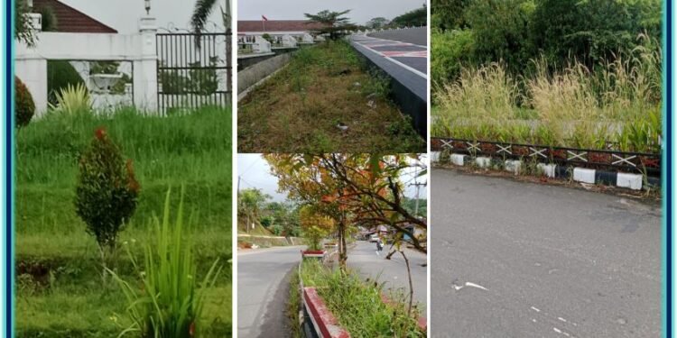 Habisi Anggaran Milyaran Rupiah Untuk Pemeliharaan Taman Perkantoran Pemkab Tapsel-Sumut, Dinilai Tidak Pro Rakyat