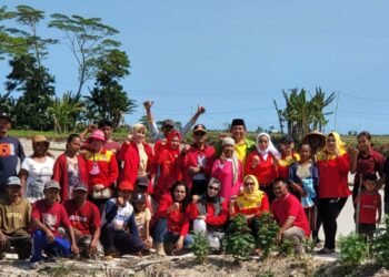 BAGAIMANA REALISASI HARGA GABAH 6.500 SAAT PANEN RAYA MARET 2025 ?