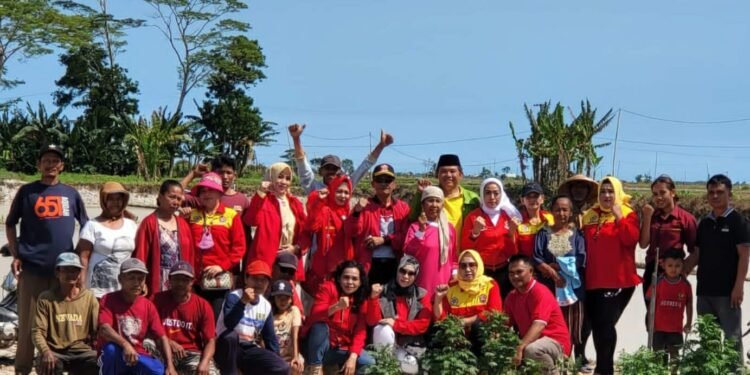 BAGAIMANA REALISASI HARGA GABAH 6.500 SAAT PANEN RAYA MARET 2025 ?